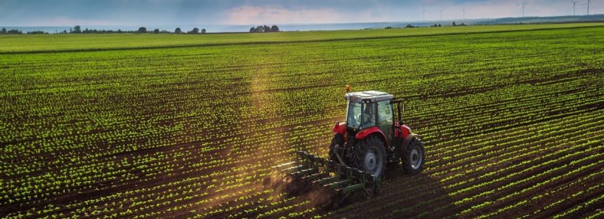 Exposición Rural: ofrecerán nuevos beneficios para el sector agroindustrial