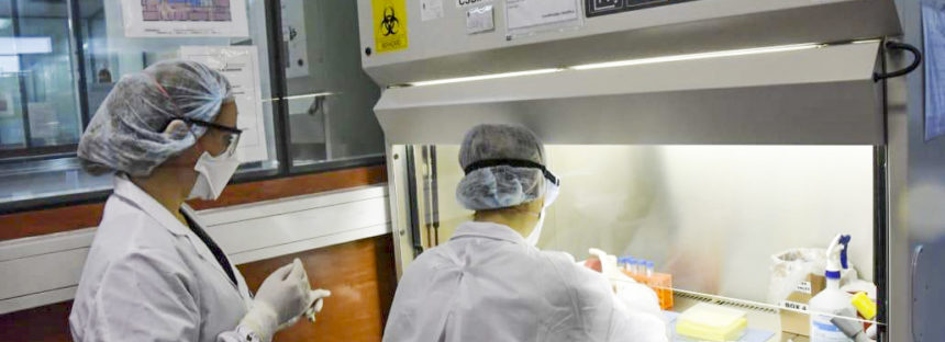 La mayoría de los nuevos casos de coronavirus en la Argentina son de contagio local
