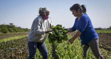 La actividad económica cayó 1,7% interanual en agosto y anotó la mayor contracción en lo que va del año