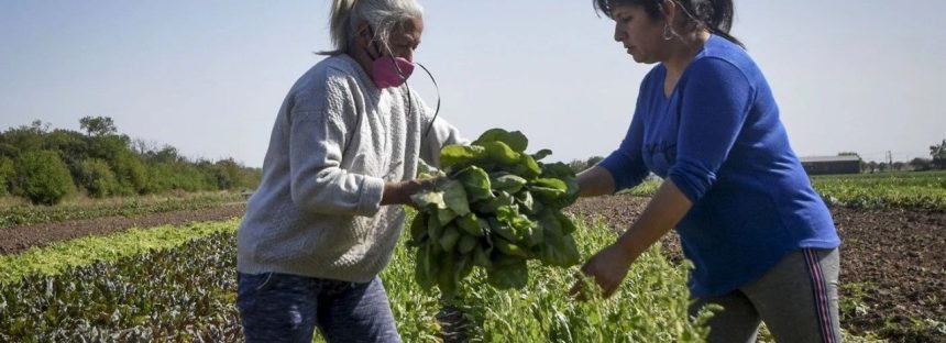 La actividad económica cayó 1,7% interanual en agosto y anotó la mayor contracción en lo que va del año