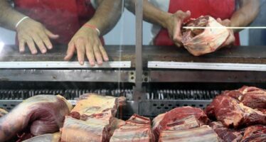El Gobierno suspenderá la exportación de siete cortes de carne