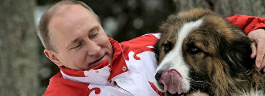 El senador estadounidense que dejó entrever que Vladimir Putin padece de demencia senil