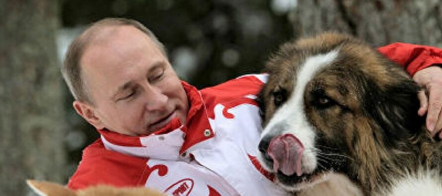 El senador estadounidense que dejó entrever que Vladimir Putin padece de demencia senil