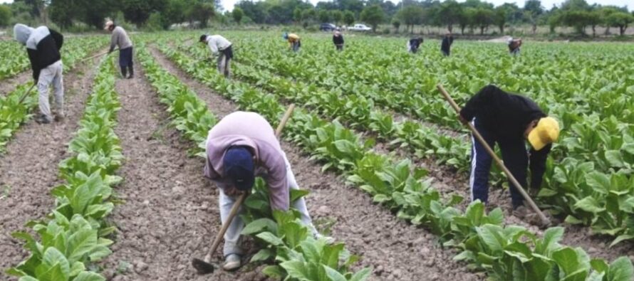 Trabajadores rurales lograron un bono de fin de año de $50 mil