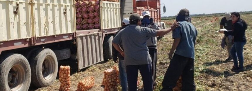 Voytenco celebró la suba del 32% en los salarios de trabajadores rurales