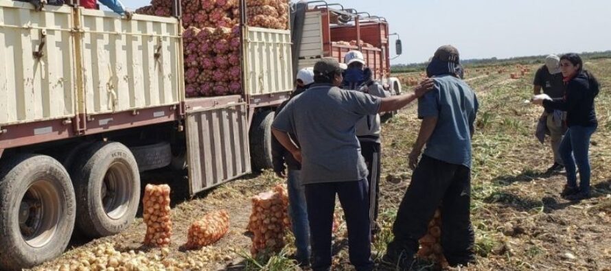 Voytenco celebró la suba del 32% en los salarios de trabajadores rurales