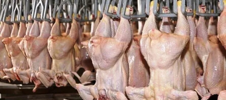 Gira por Asia: Cancillería confirmó la exportación de carne aviar a Corea del Sur