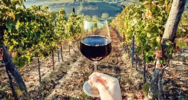 Una importante cámara de la industria del vino criticó la suba de retenciones a exportaciones