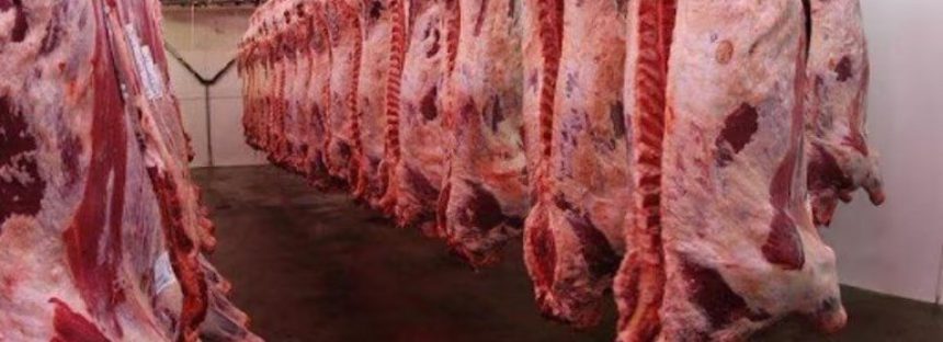 Las exportaciones de carne vacuna crecieron un 23% en agosto