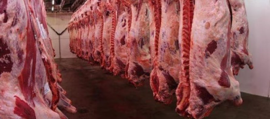 Las exportaciones de carne vacuna crecieron un 23% en agosto