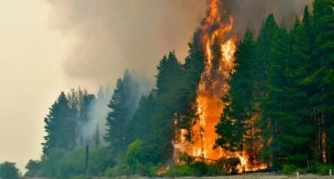 El Gobierno transferirá más de $100.000 millones a Bomberos Voluntarios para afrontar los incendios en la Patagonia