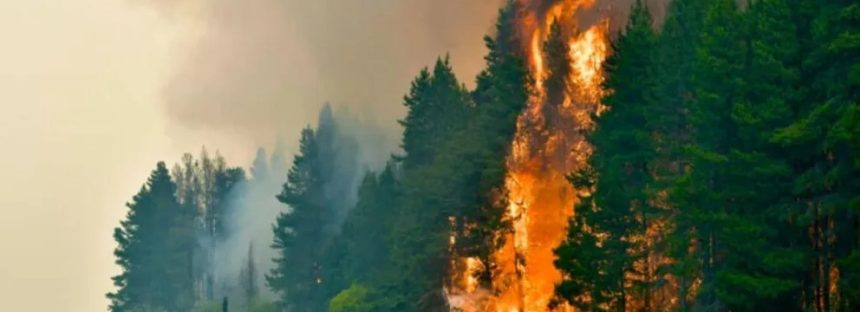 El Gobierno transferirá más de $100.000 millones a Bomberos Voluntarios para afrontar los incendios en la Patagonia