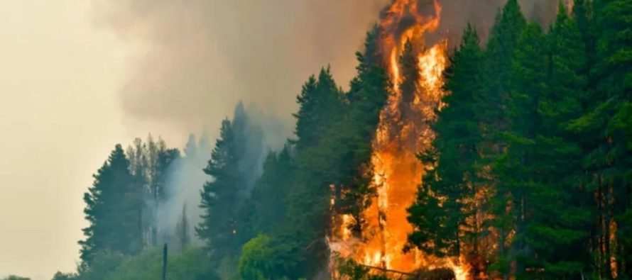 El Gobierno transferirá más de $100.000 millones a Bomberos Voluntarios para afrontar los incendios en la Patagonia
