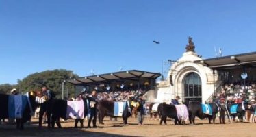 Las elecciones en la Sociedad Rural Argentina se definirán en la provincia de Buenos Aires