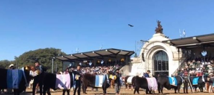 Las elecciones en la Sociedad Rural Argentina se definirán en la provincia de Buenos Aires