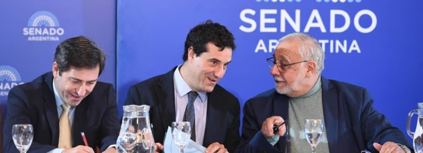 El Senado hará dos audiencias públicas para evaluar a 25 candidatos a la Justicia, uno vinculado al «Chiqui“ Tapia