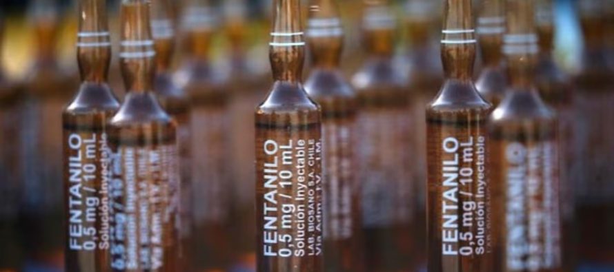 Fentanilo contaminado: la ex titular de la ANMAT declaró durante cuatro horas y apuntó contra otra exfuncionaria