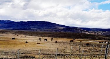 El campo de Chubut no pagará el Impuesto Inmobiliario en 2026: cuáles son los principales motivos