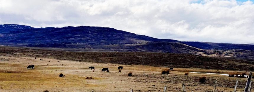 El campo de Chubut no pagará el Impuesto Inmobiliario en 2026: cuáles son los principales motivos