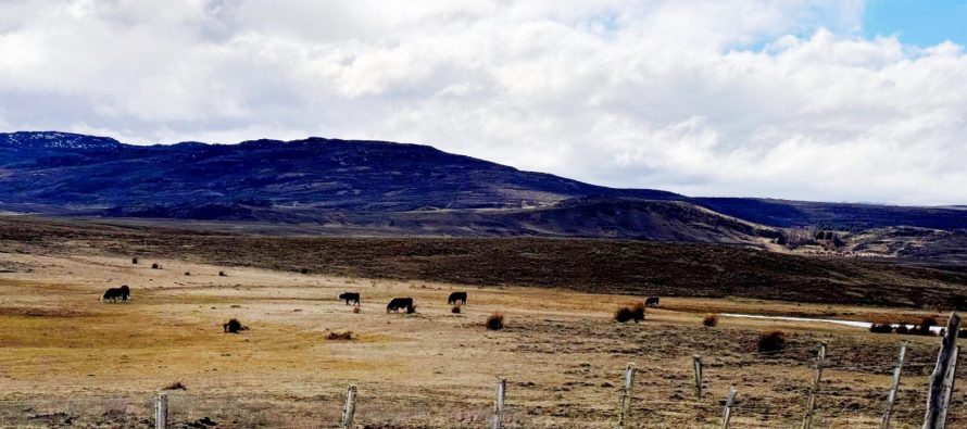 El campo de Chubut no pagará el Impuesto Inmobiliario en 2026: cuáles son los principales motivos